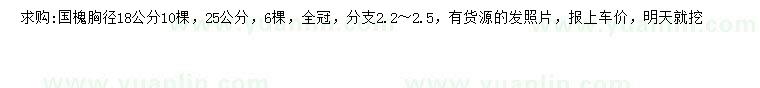 求購胸徑18、25公分國槐