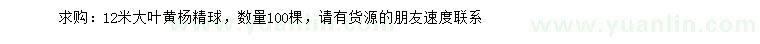 求購12米大葉黃楊精球