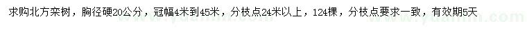 求購(gòu)胸徑硬20公分欒樹(shù)