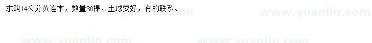 求購14公分黃連木