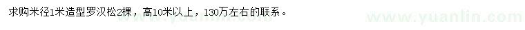 求購米徑1米造型羅漢松