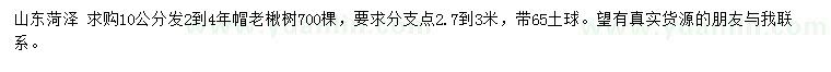 求購10公分老楸樹