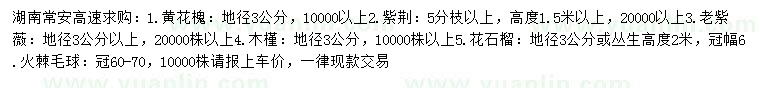 求購黃花槐、紫荊、老紫薇等