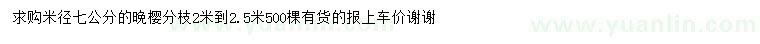 求購米徑7公分晚櫻