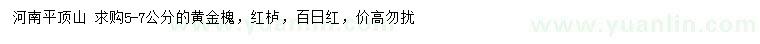 求購(gòu)黃金槐、紅櫨、百日紅