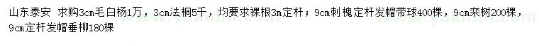求購毛白楊、法桐、刺槐