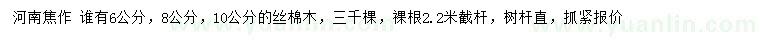 求購6、8、10公分絲棉木