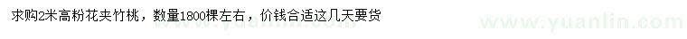 求購(gòu)高2米粉花夾竹桃