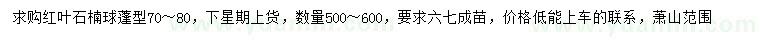 求購70-80公分紅葉石楠球