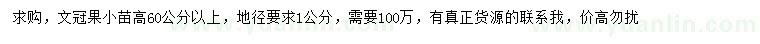 求購高60公分以上文冠果小苗