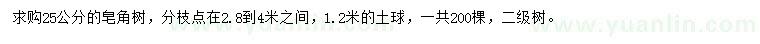 求購25公分皂角樹