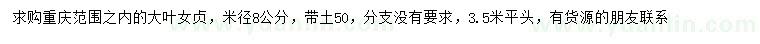 求購米徑8公分大葉女貞