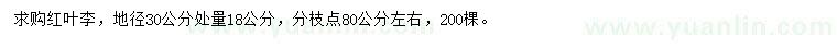 求購地徑30公分處量18公分紅葉李