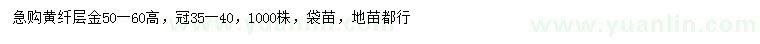 求購(gòu)高50-60公分黃纖層金