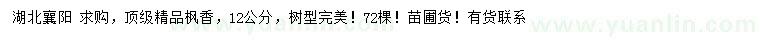 求購12公分頂級精品楓香