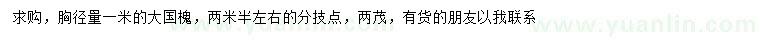 求購胸徑量1米大國槐