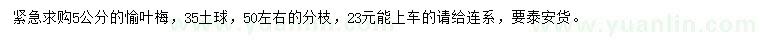 求購(gòu)5公分愉葉梅