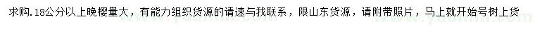 求購18公分以上晚櫻