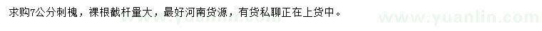 求購(gòu)7公分刺槐