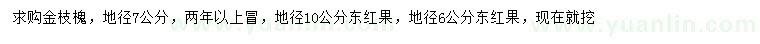 求購地徑7公分金枝槐、地徑6、10公分東紅果
