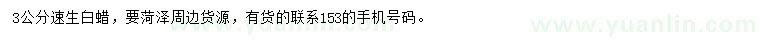 求購3公分速生白蠟