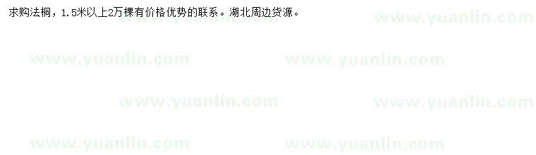 求購(gòu)1.5米以上法桐