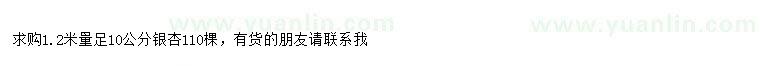 求購1.2米量10公分銀杏