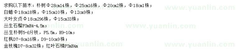 求購樸樹、白蠟、大葉女貞等