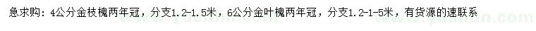求購4公分金枝槐、6公分金葉槐