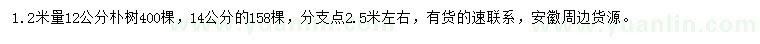 求購1.2米量12、14公分樸樹