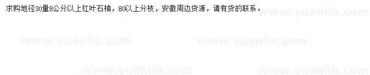 求購地徑30量8公分紅葉石楠