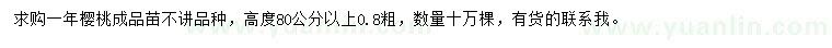 求購高度80公分以上櫻桃