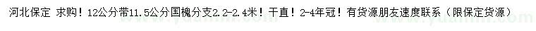 求購12公分國槐