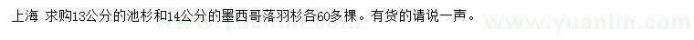 求購13公分池杉、14公分墨西哥落羽杉