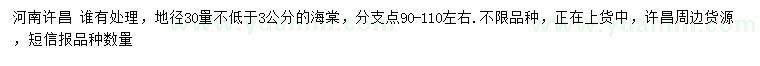 求購地徑30量3公分海棠
