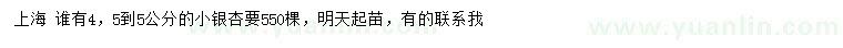求購4.5-5公分小銀杏