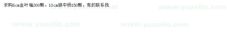 求購(gòu)6公分金葉榆、10公分銀中楊