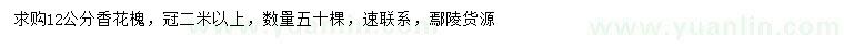 求購12公分香花槐