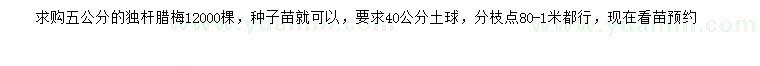 求購5公分獨(dú)桿臘梅