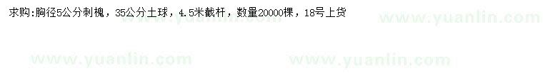 求購(gòu)胸徑5公分刺槐