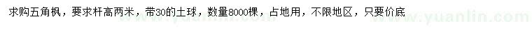 求購桿高2米五角楓