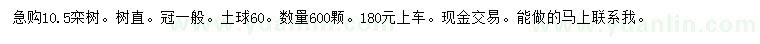 求購(gòu)10.5公分欒樹(shù)