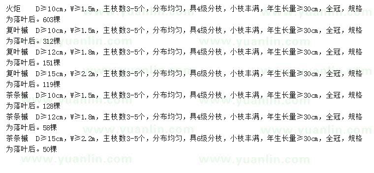 求購(gòu)火炬樹(shù)、復(fù)葉槭、茶條槭