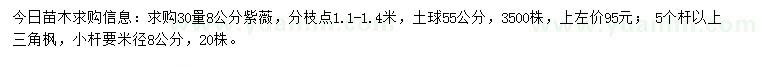 求購30量8公分紫薇