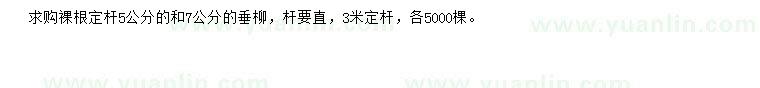 求購(gòu)5、7公分垂柳