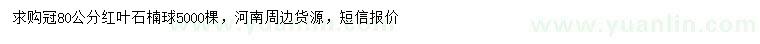 求購冠幅80公分紅葉石楠球