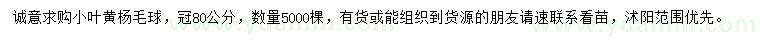 求購冠幅80公分小葉黃楊球