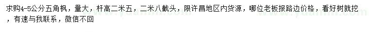求購4-5公分五角楓