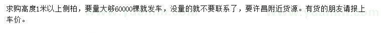求購(gòu)高度1米以上側(cè)柏