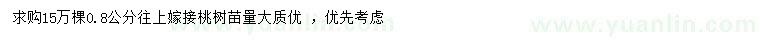 求購0.8公分以上嫁接桃樹苗